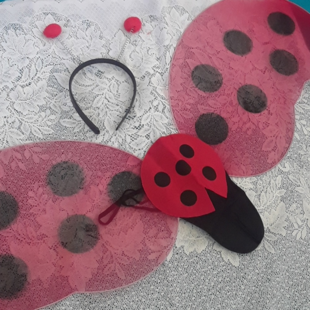 Lady Bug Costume Kit